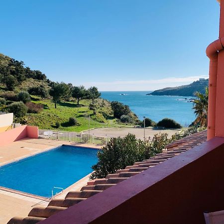 Appartement 6 Personnes Vue Mer Cerbere Luaran gambar